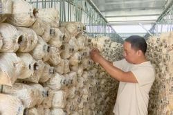 Mạnh dạn đổi mới để nâng cao thu nhập