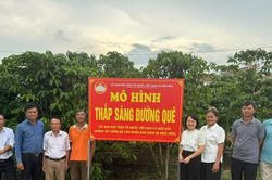 Mặt trận Tổ quốc giữ nhịp gắn kết trong hệ thống