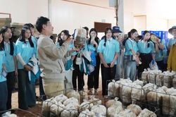 Cơ hội bứt phá cho hợp tác xã