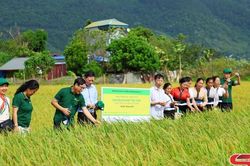 Đoàn kết, đổi mới, phát huy vai trò nòng cốt trong phát triển kinh tế tập thể, hợp tác xã