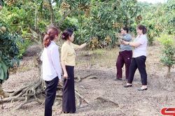 Hiệu quả vốn vay chính sách
