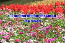 Dự báo thời tiết toàn tỉnh Sơn La ngày 26/6/2026