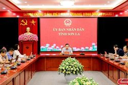 Hội nghị toàn quốc về bảo vệ trẻ em