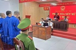 Nh&oacute;m đối tượng l&atilde;nh &aacute;n v&igrave; mua b&aacute;n, sử dụng tr&aacute;i ph&eacute;p ma t&uacute;y