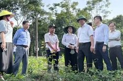 Đẩy nhanh tiến độ giải quyết các kiến nghị dân sinh bức xúc
