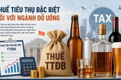 Thuế tiêu thụ đặc biệt mới: Phép thử năng lực thích ứng của doanh nghiệp dẫn đầu ngành bia
