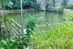 Nghệ An: Hai anh em ruột tử vong thương t&acirc;m dưới ao nước gần nh&agrave;