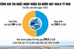 Dấu ấn Việt Nam tr&ecirc;n bản đồ thương mại to&agrave;n cầu