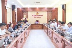 Gia Lai: Hoàn thiện đề án du lịch sinh thái gắn với bảo tồn tài nguyên thiên nhiên, phát triển bền vững.