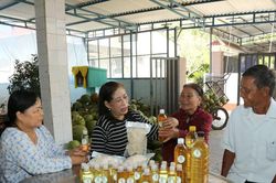 Sức bật của t&iacute;n dụng ch&iacute;nh s&aacute;ch tại x&atilde; Tam Hải, Đ&agrave; Nẵng: Khi vốn ưu đ&atilde;i 'chạm' m&aacute;i nh&agrave; đảo