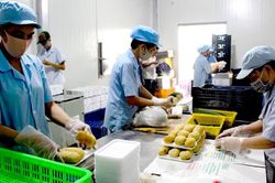 Làm gì để không còn nghịch lý doanh nghiệp... xin rút hồ sơ nhận hỗ trợ?