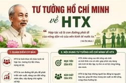 Infographic: 3 góc nhìn cốt lõi về hợp tác xã trong thời kỳ mới