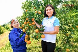 FAO tìm 8 gương mặt nữ tiêu biểu của nông nghiệp Việt Nam