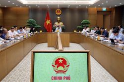 Ho&agrave;n thiện Nghị định mới để t&aacute;i cơ cấu hệ thống kinh doanh xăng dầu