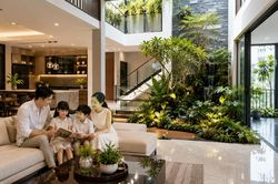 Vì sao nhiều người sẵn sàng xuống tiền trồng cây xanh trong nhà?