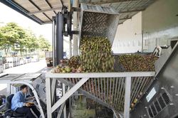 Doanh nghiệp nhỏ trước áp lực thích ứng chuyển đổi