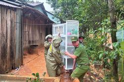 Đêm trắng ở vùng rốn lũ