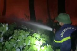 Xuy&ecirc;n đ&ecirc;m dẹp 'giặc lửa' tr&ecirc;n đồi 74