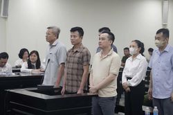 Cựu Chủ tịch C&ocirc;ng ty Nam Triệu bị đề nghị phạt 28 năm t&ugrave;