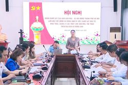 Giám sát công tác khai thác quản lý các thiết chế văn hóa