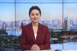 Chương tr&igrave;nh Thời sự 11h30 | 25/06/2026