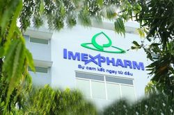 Dược phẩm Imexpharm (IMP) kiện to&agrave;n l&atilde;nh đạo sau khi đổi chủ