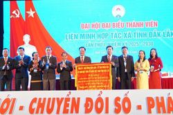 Đắk Lắk: 42 Hợp t&aacute;c x&atilde; điển h&igrave;nh ti&ecirc;n tiến ph&aacute;t triển chuỗi sản phẩm chủ lực