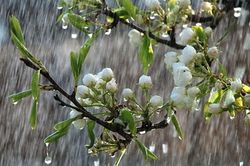 Thời tiết ng&agrave;y 25/6: Miền Bắc nắng n&oacute;ng ban ng&agrave;y, chiều tối mưa d&ocirc;ng diện rộng