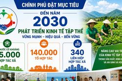 Kinh tế tập thể hướng tới 45.000 hợp tác xã trong 5 năm tới