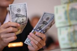 Tỷ gi&aacute; ngoại tệ ng&agrave;y 25/6: USD b&aacute;n ra 26.456 đồng, euro vượt 30.600 đồng