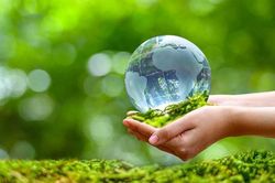 Cấu trúc quản trị rừng và tác động đến hiệu quả môi trường - bằng chứng từ dữ liệu cấp tỉnh tại Việt Nam
