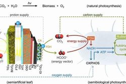 Công nghệ mới biến CO₂ thành nguyên liệu sinh học