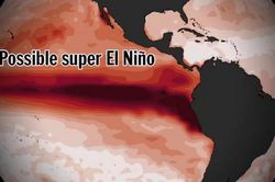 Si&ecirc;u El Nino đe dọa nguồn cung n&ocirc;ng sản to&agrave;n cầu, gia tăng &aacute;p lực nhập khẩu lương thực của Trung Quốc