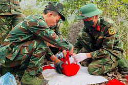 1.255 hài cốt liệt sĩ được tìm kiếm, quy tập trong 6 tháng đầu năm