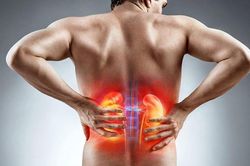 Người đàn ông 50 tuổi suy thận cấp sau khi ăn hàu sống nhiễm 'vi khuẩn ăn thịt người'
