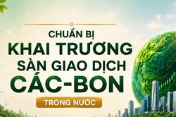 Sắp khai trương sàn giao dịch các-bon trong nước