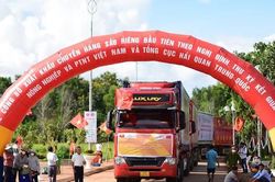 N&ocirc;ng sản Việt đ&oacute;n cơ hội mới