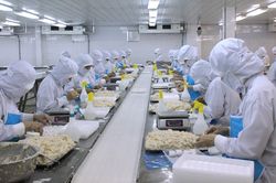 Sửa Luật hỗ trợ doanh nghiệp nhỏ và vừa: Cần cơ chế đột phá về vốn và thị trường