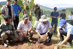 Quảng Ngãi: Từ 'Đại hội không hoa' đến khát vọng xây dựng thương hiệu cà phê đặc sản Tu Mơ Rông