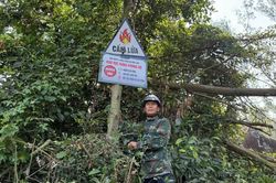 Hà Tĩnh kích hoạt mọi biện pháp phòng, chống cháy rừng mùa cao điểm