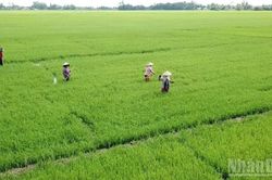 Tạo động lực phát triển từ kinh tế hợp tác