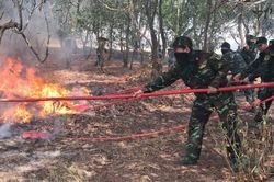 Quảng Trị: Nỗ lực chữa ch&aacute;y rừng giữa nắng n&oacute;ng gay gắt