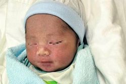 Phát hiện trẻ sơ sinh bị bỏ ở công viên Văn Lang, TPHCM