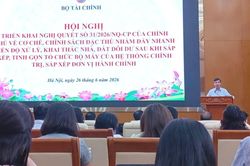 Chủ tịch UBND cấp tỉnh được toàn quyết quyết việc quản lý, khai thác nhà, đất dôi dư trên địa bàn