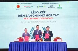 Gia Lai đồng hành cùng doanh nghiệp chuyển đổi xanh