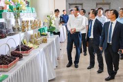 551 dự &aacute;n, 1.426 m&ocirc; h&igrave;nh khoa học c&ocirc;ng nghệ - sinh kế bền vững cho n&ocirc;ng th&ocirc;n, miền n&uacute;i