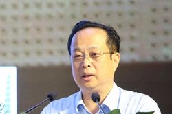 Phó Chủ tịch HĐND Hà Nội: 'Bây giờ Hà Nội không vội không được'