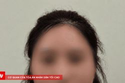 Lừa đảo hơn 2 tỷ đồng dưới hình thức tư vấn xin visa, đầu tư nước ngoài