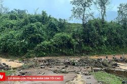 Mưa lũ gây ngập úng, sạt lở nhiều nơi ở Cao Bằng
