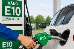 Nghị quyết 29/NQ-CP tháo gỡ nhiều nút thắt cho doanh nghiệp khi triển khai xăng E10